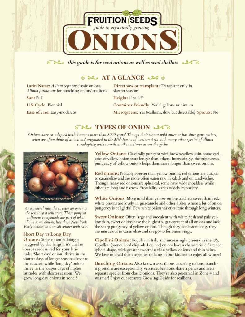 Thumbnail of Growing Guide for Onion Growing Guide