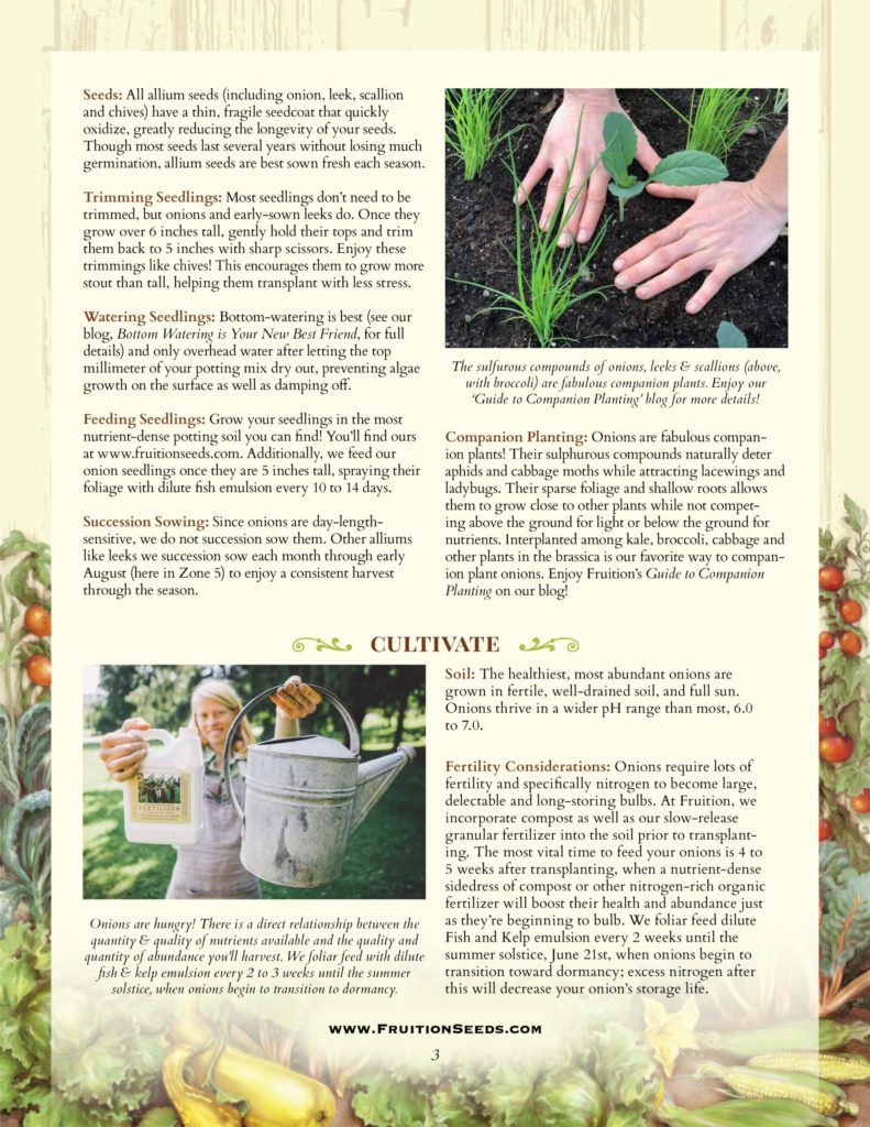Thumbnail of Growing Guide for Onion Growing Guide