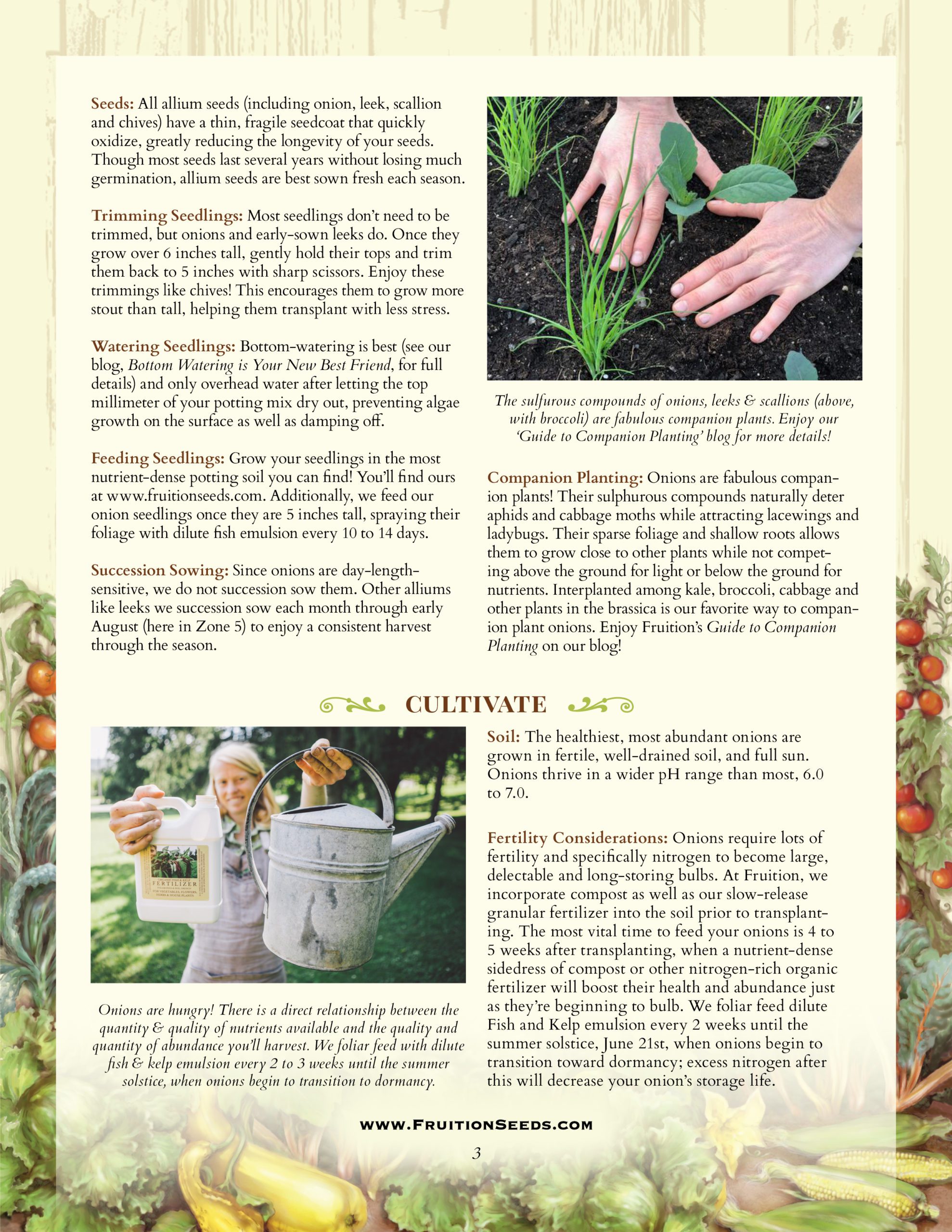 Thumbnail of Growing Guide for Sowing & Growing Series: Onions & Leeks