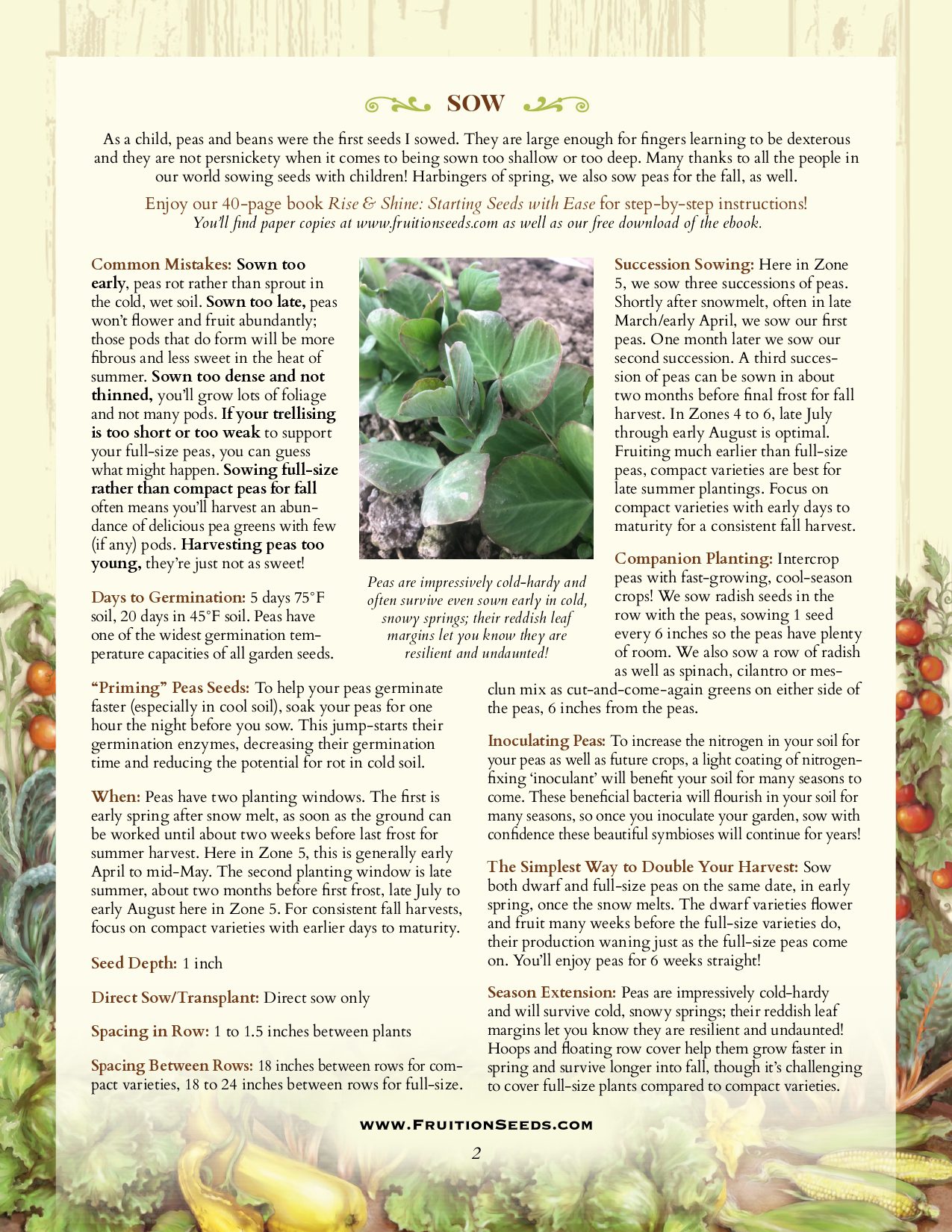 Thumbnail of Growing Guide for Sowing & Growing Series: Peas