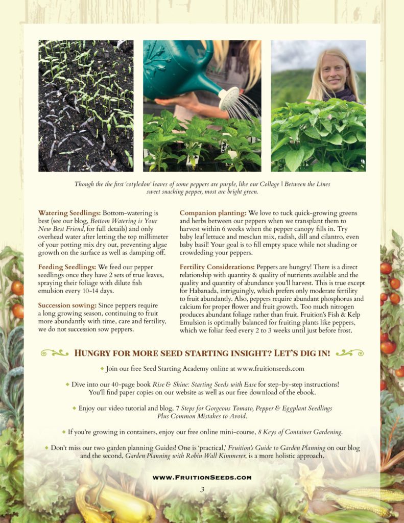 Thumbnail of Growing Guide for Pepper Growing Guide