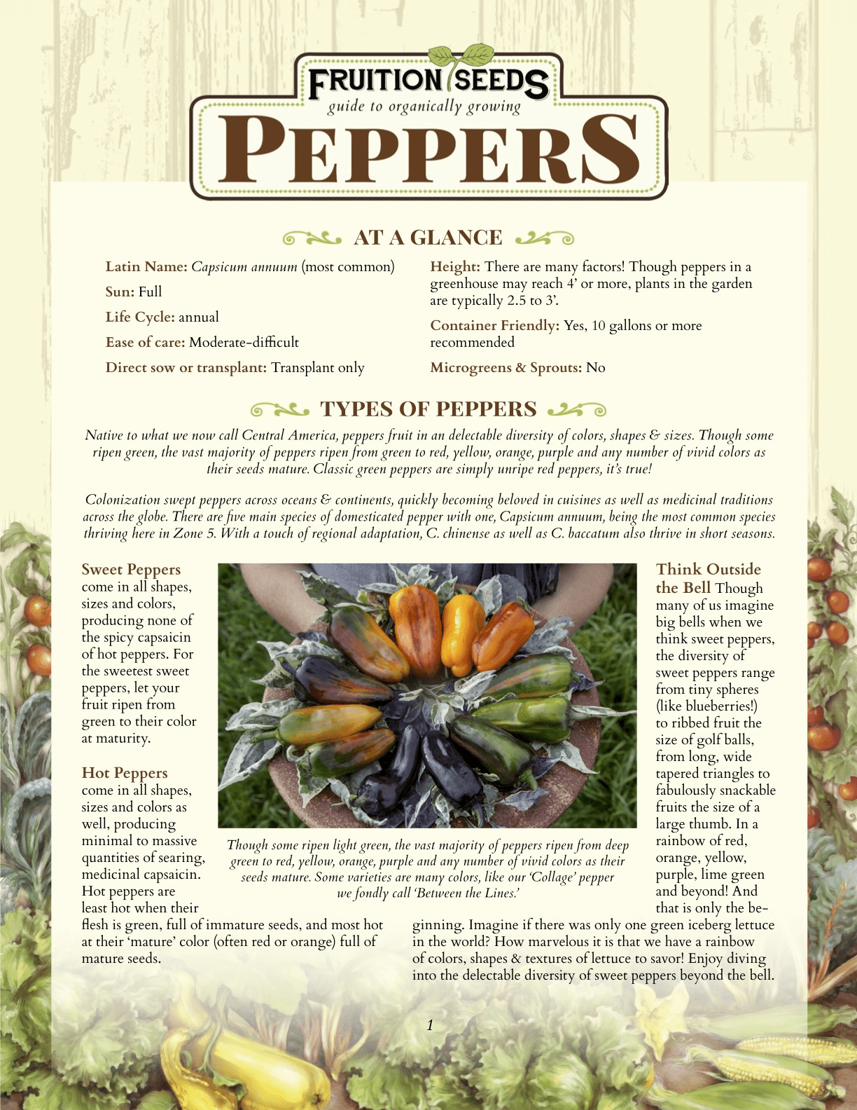 Growing Guide for Pepper Growing Guide