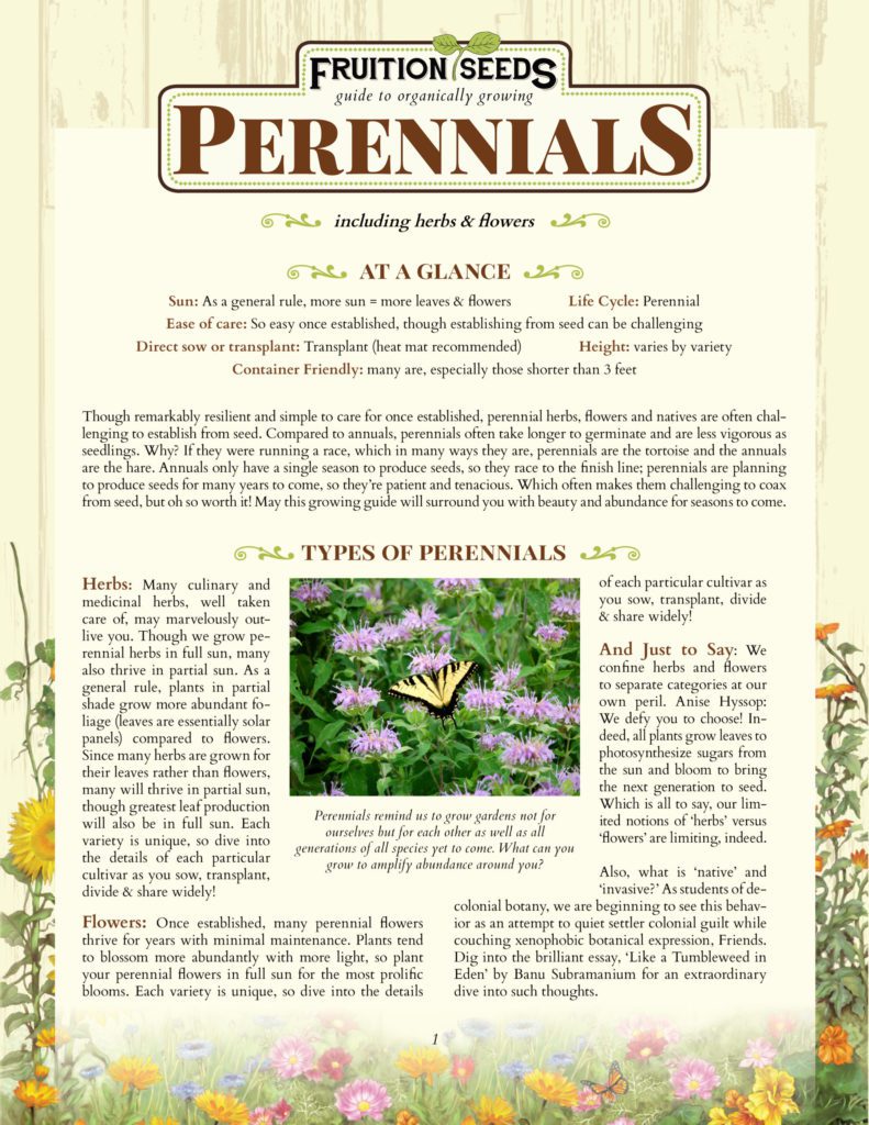 Thumbnail of Growing Guide for Perennial Herbs and Flowers Growing Guide