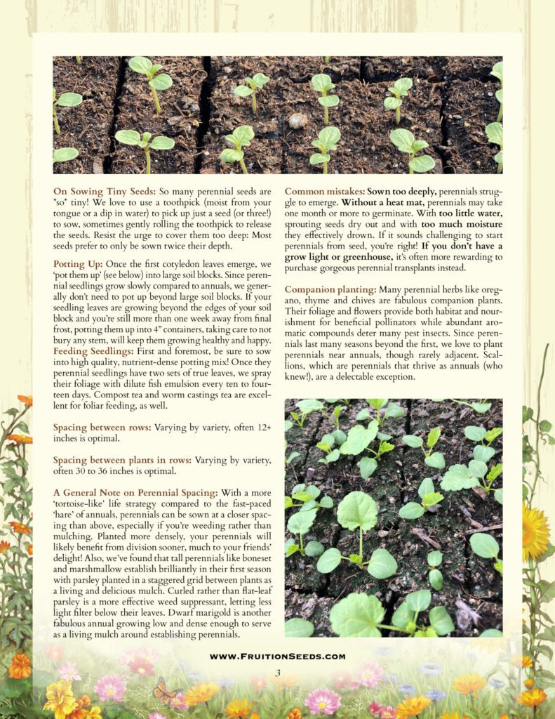 Thumbnail of Growing Guide for Perennial Herbs and Flowers Growing Guide