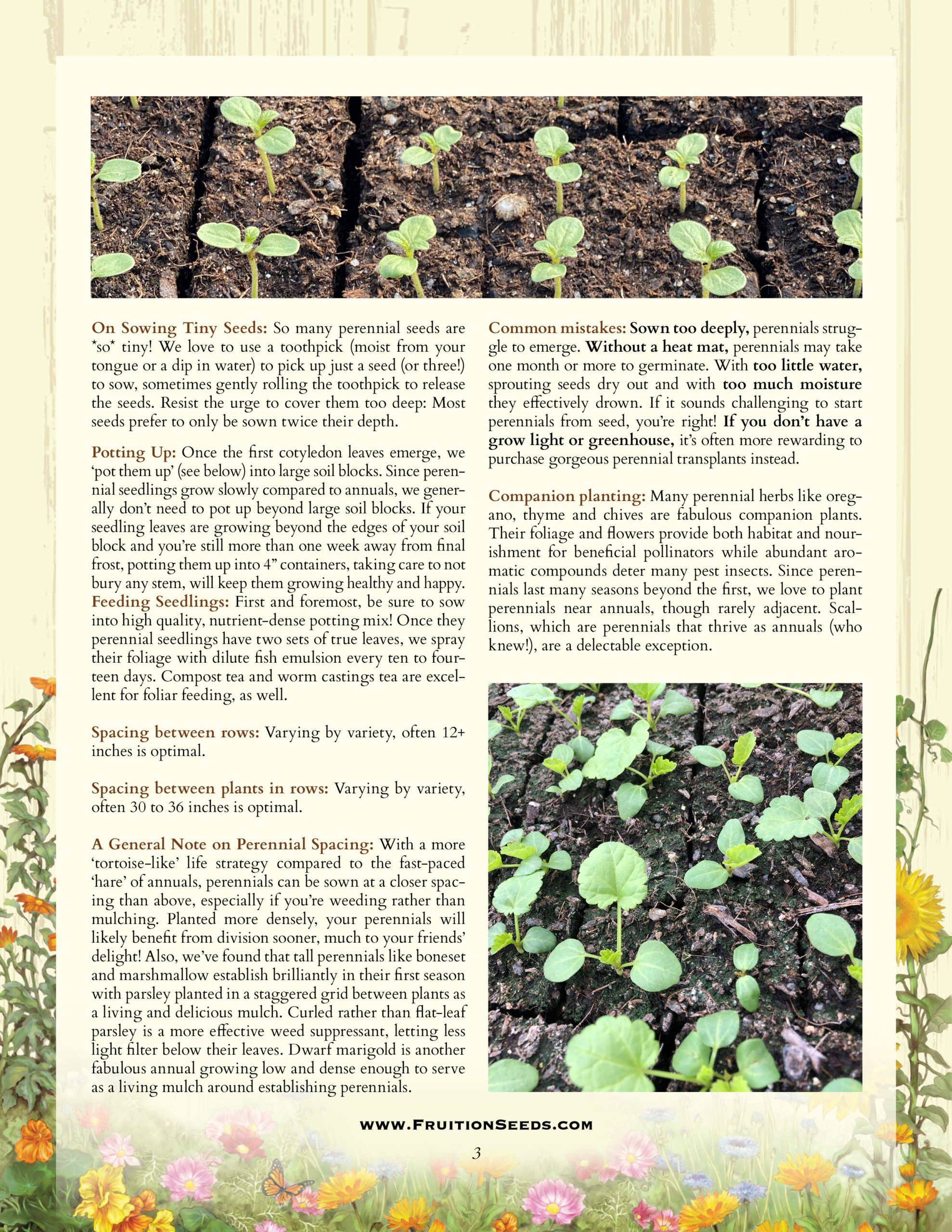 Growing Guide for Perennial Herbs and Flowers Growing Guide