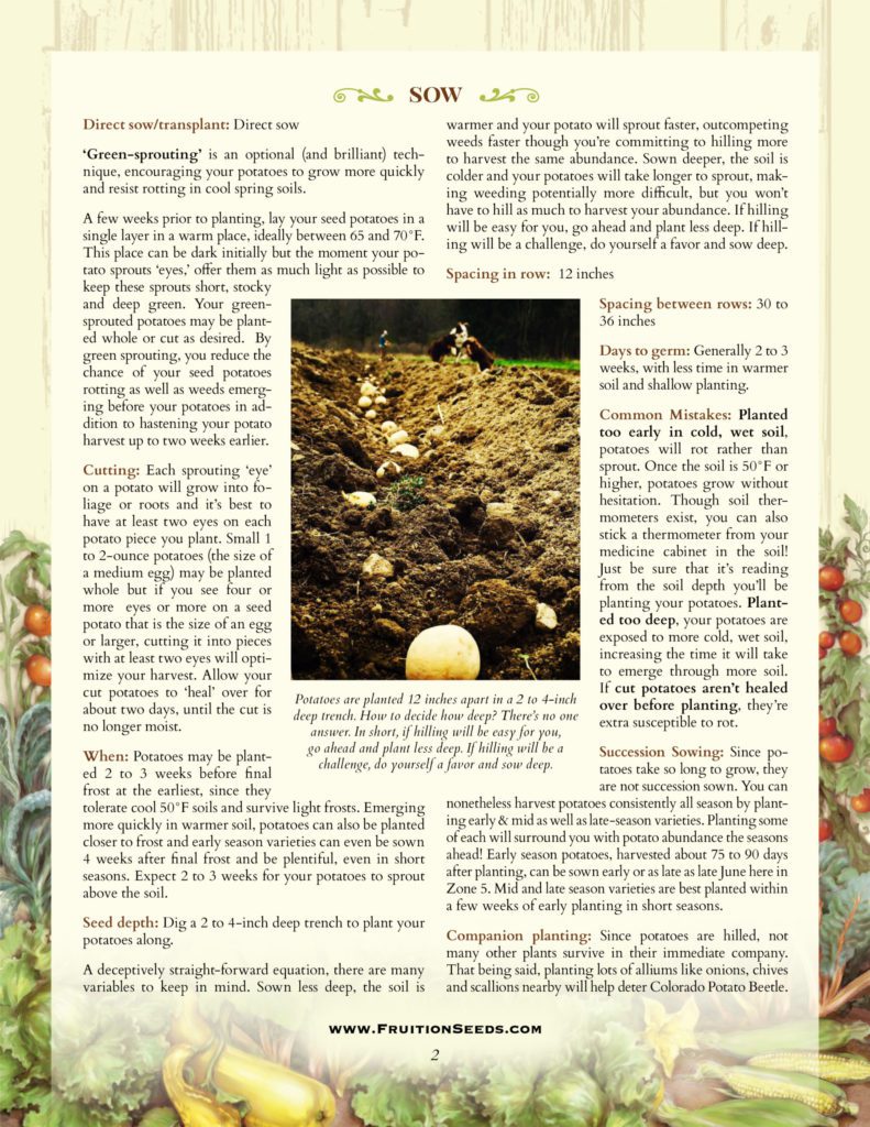 Thumbnail of Growing Guide for Potato Growing Guide