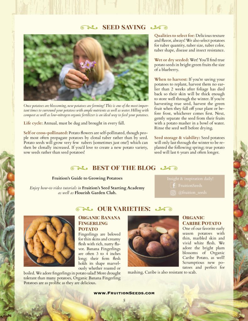 Thumbnail of Growing Guide for Potato Seedkeeping Guide