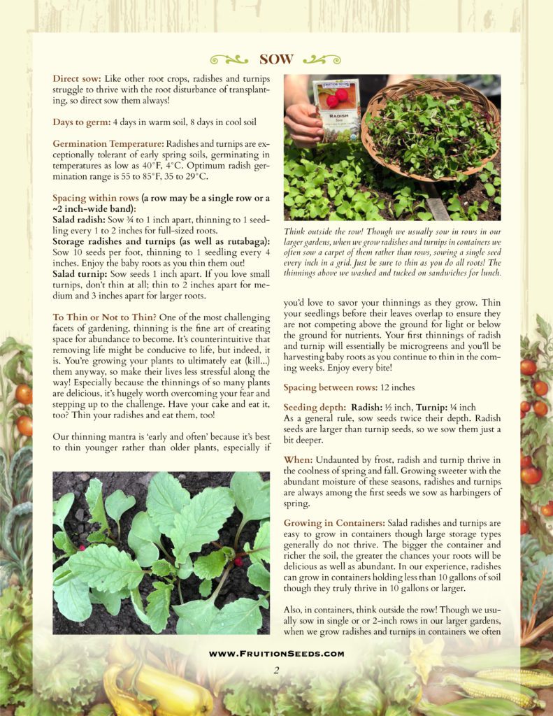 Thumbnail of Growing Guide for Radish & Turnip Growing Guide!