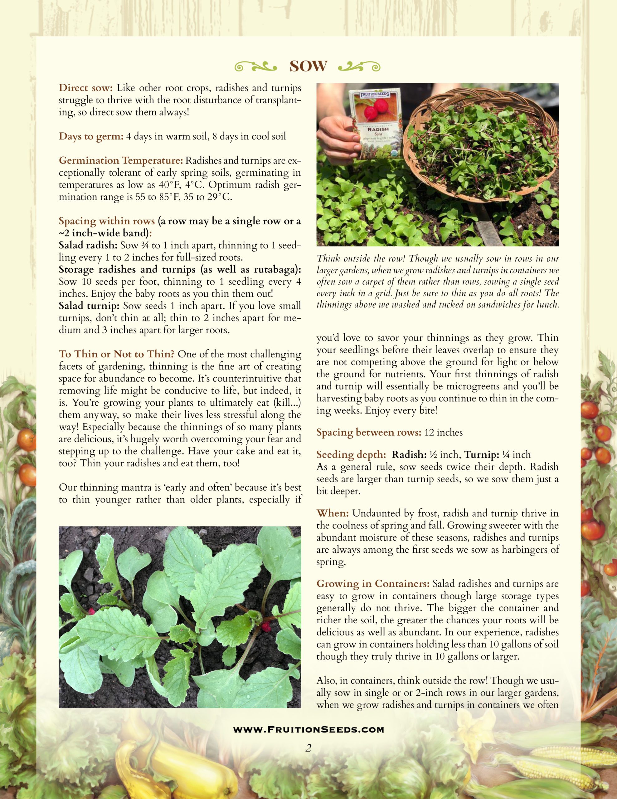 Growing Guide for Radish & Turnip Growing Guide!