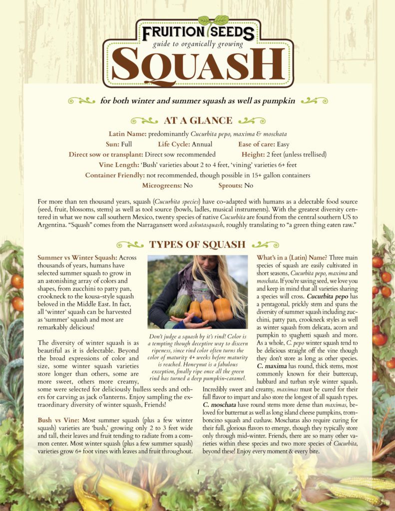 Thumbnail of Growing Guide for Squash Growing Guide