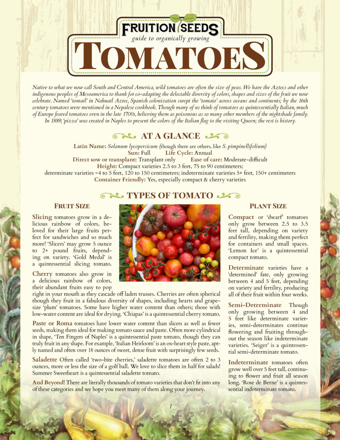 Tomato Plant Growing Guides, Tips, and Information