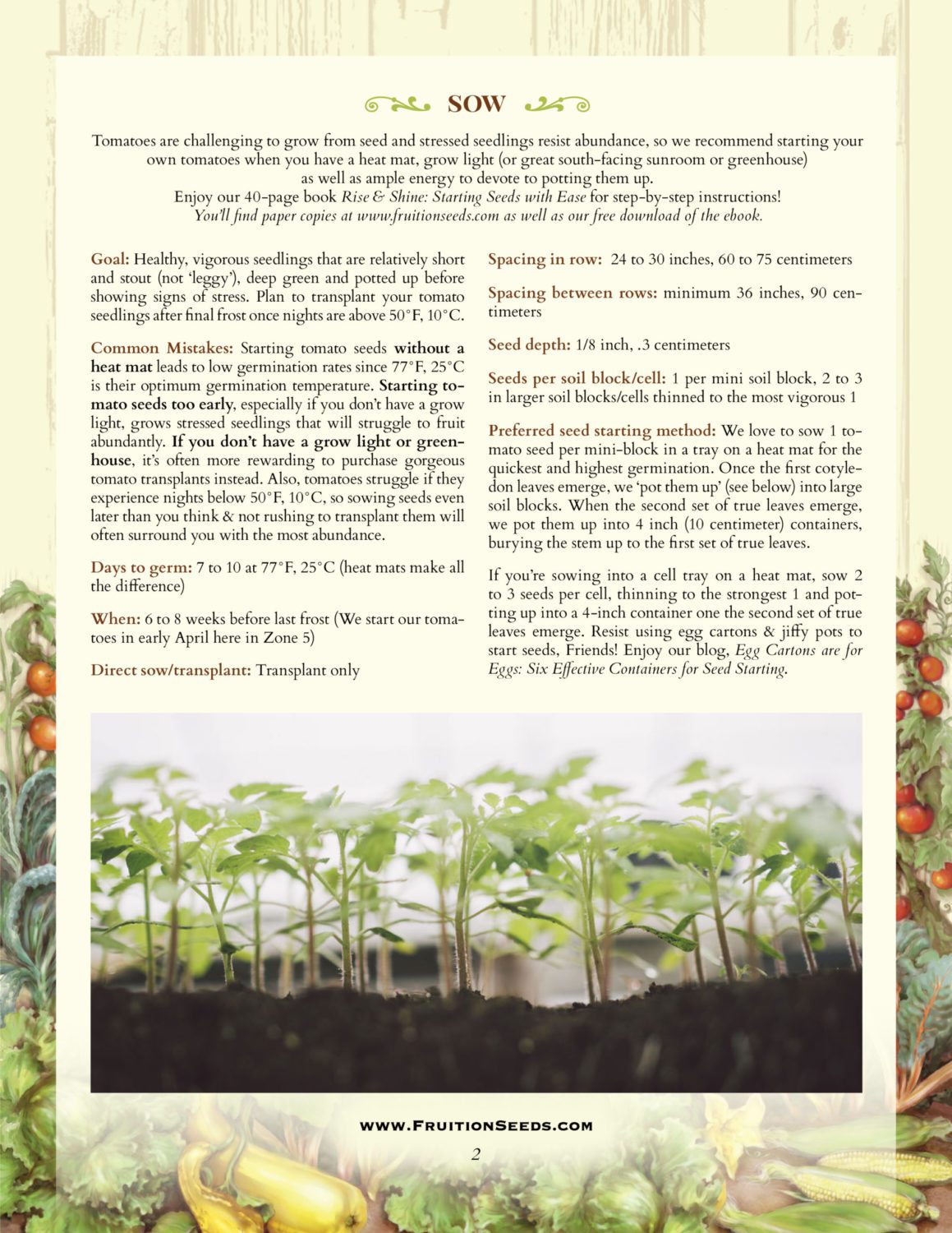 Growing Guide for Sowing & Growing Series: Tomatoes