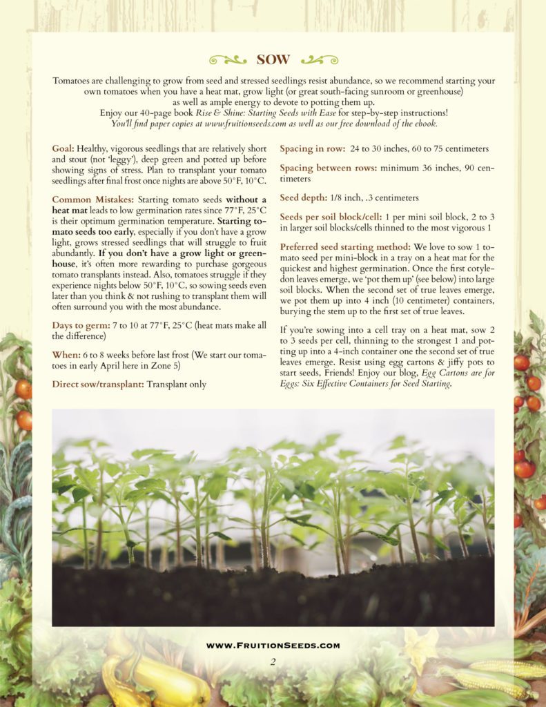 Thumbnail of Growing Guide for Tomato Growing Guide