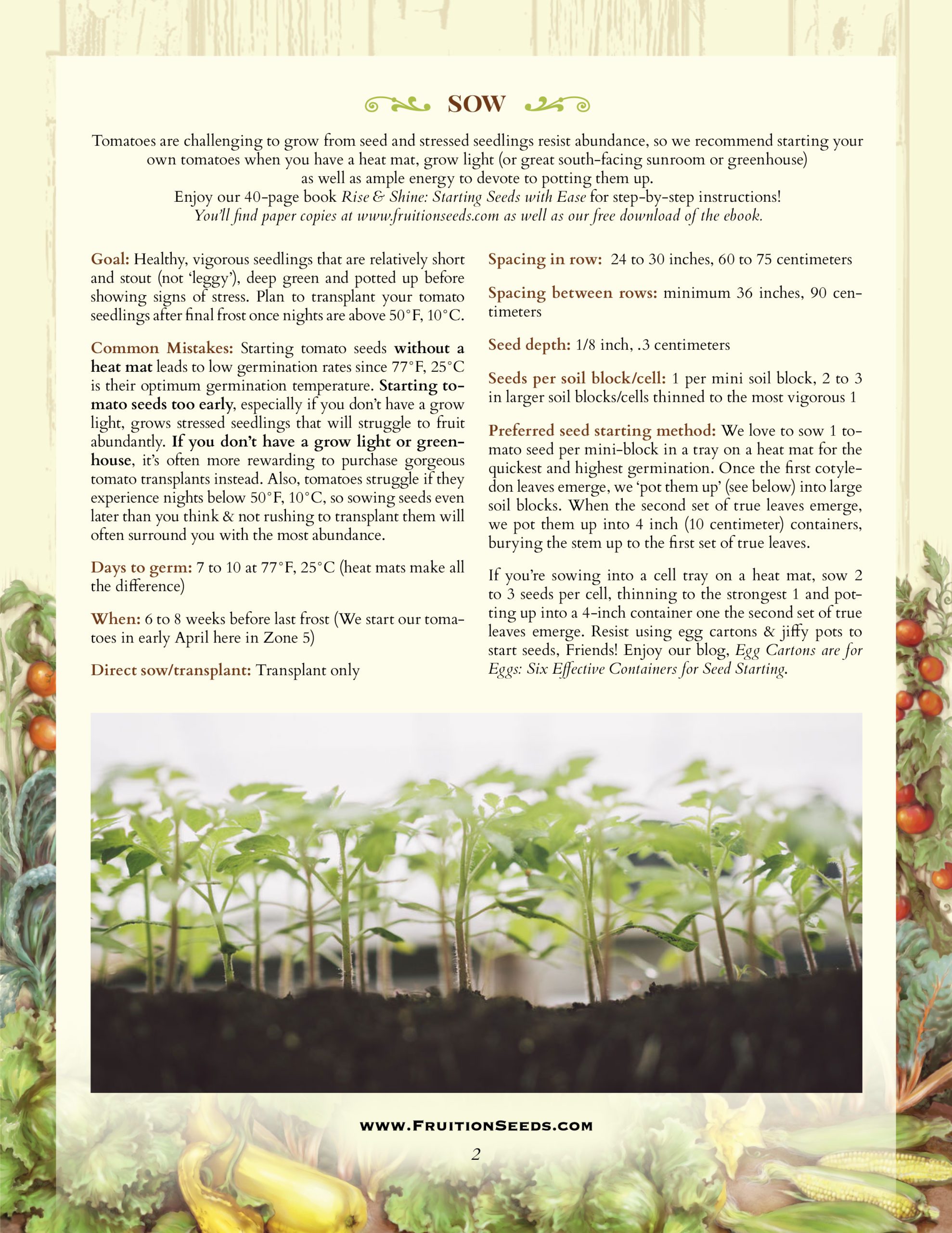 Growing Guide for Tomato Growing Guide