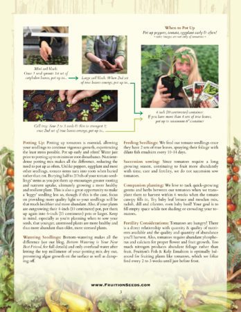 Thumbnail of Growing Guide for Sowing & Growing Series: Tomatoes