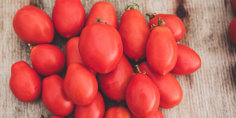 Finger Lakes Long tomato 800x400 1