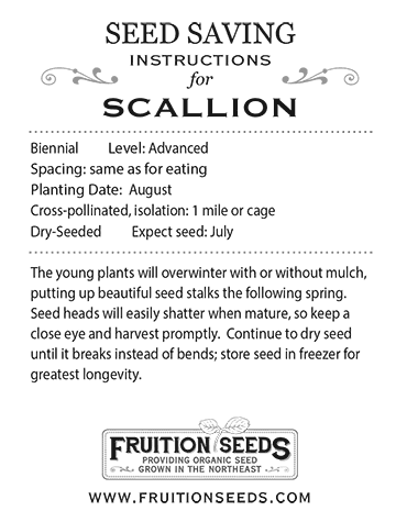 Thumbnail of Growing Guide for Scallion Seed Saving Guide