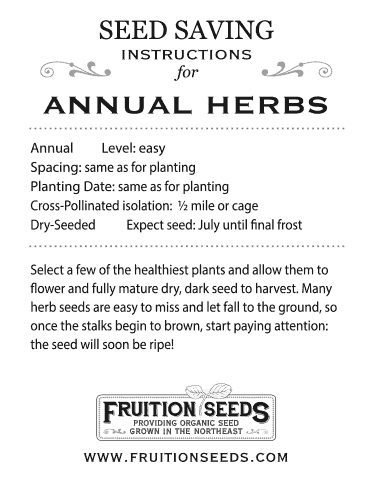 Thumbnail of Growing Guide for Annual Herbs Seedkeeping
