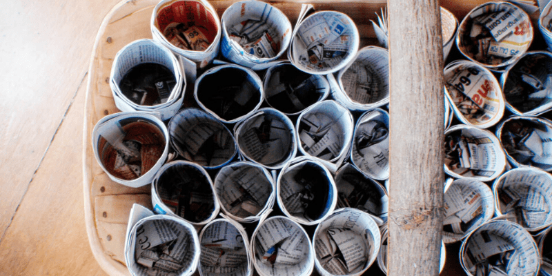 7 Steps for Gorgeous Tomato, Pepper & Eggplant Seedlings Plus Common Mistakes to Avoid 10