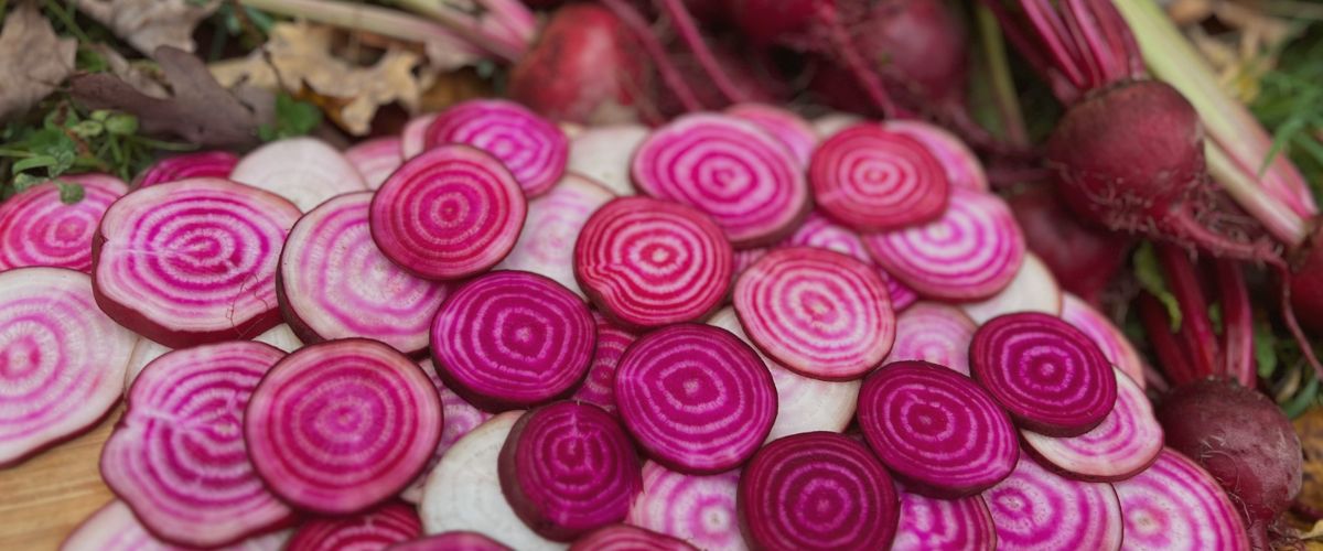 Fruition Seeds photo 15