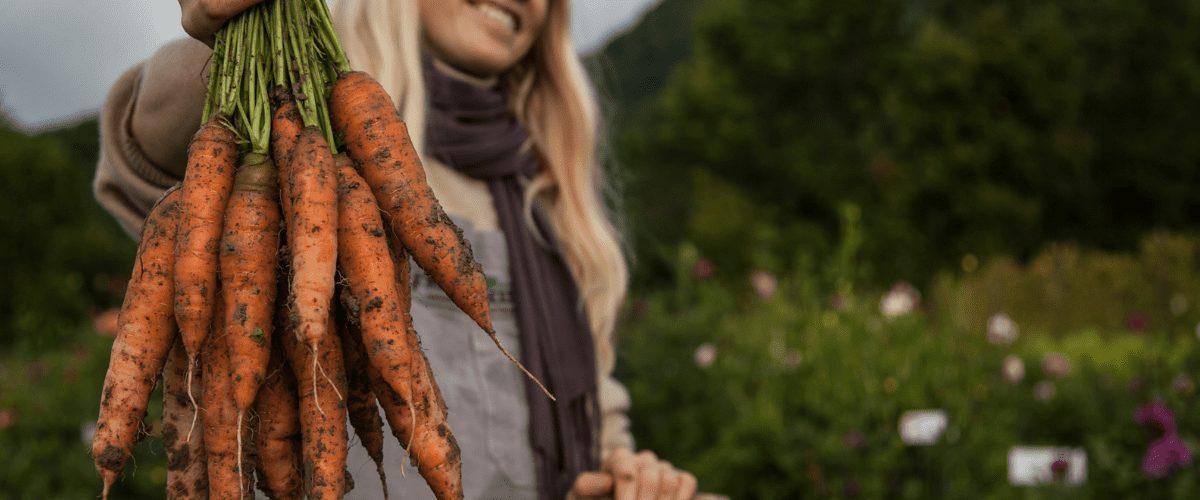 Fruition Seeds photo 7