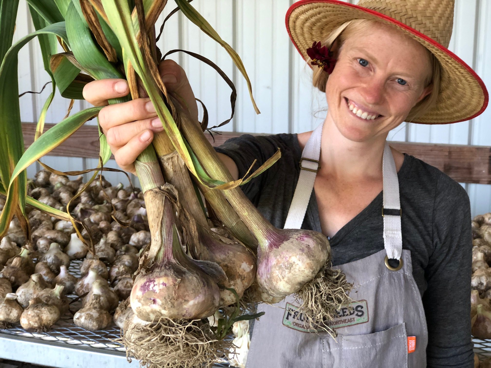 person holding regatusso garlic