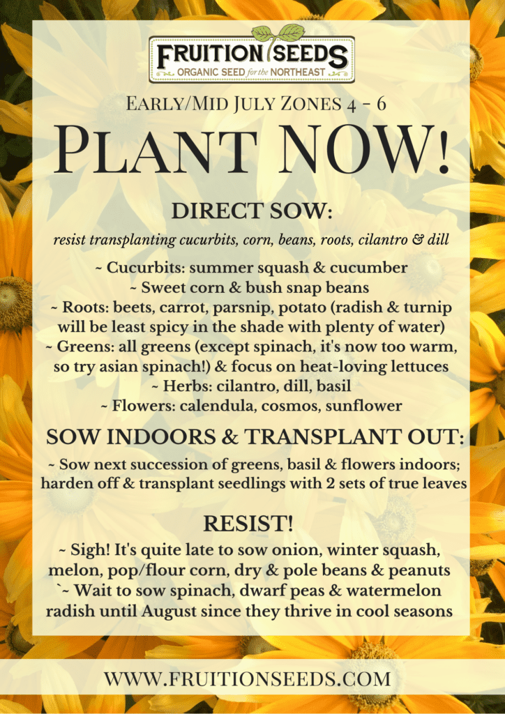 Thumbnail of Growing Guide for July Plant Now