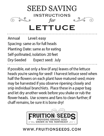 Growing Guide for Lettuce Seedkeeping Guide