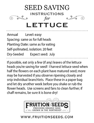 Thumbnail of Growing Guide for Lettuce Seedkeeping Guide