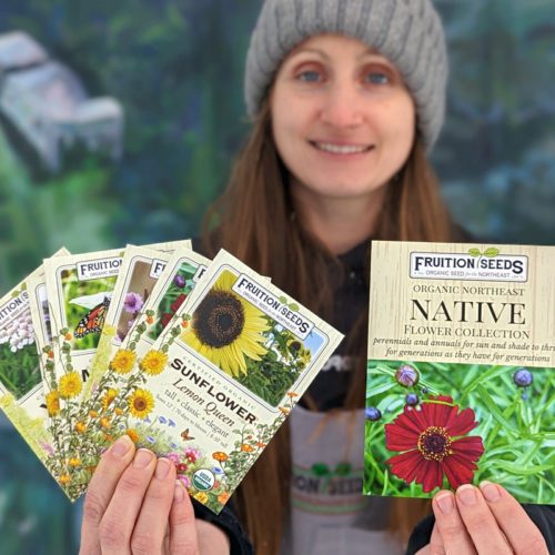 Organic Seed Collections Archives Fruition Seeds