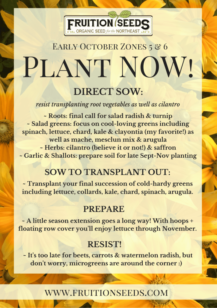 Thumbnail of Growing Guide for October Plant Now
