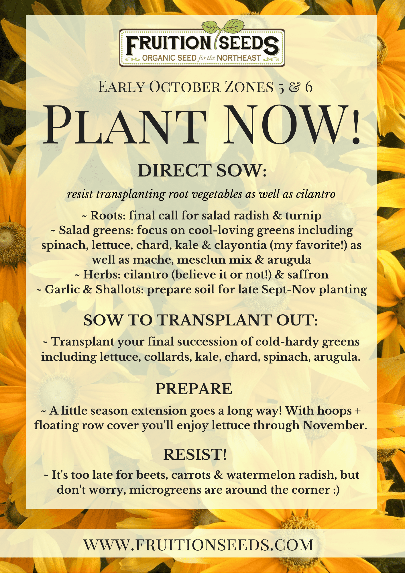 Growing Guide for October Plant Now