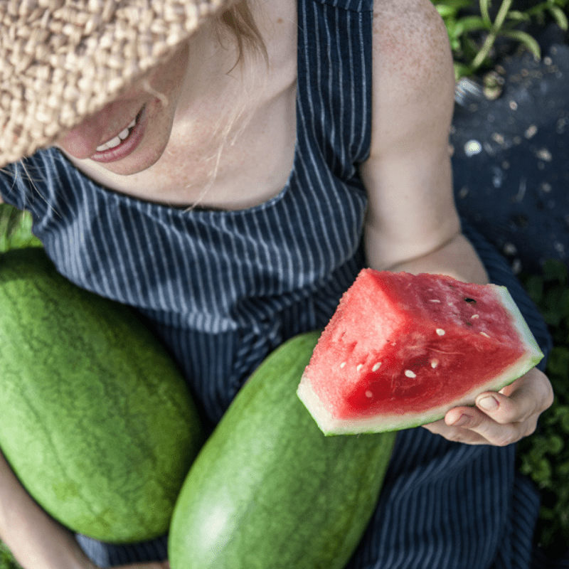Events 19 Organic August Ambrosia Watermelon