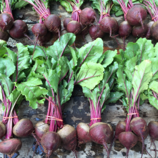 Organic Detroit Dark Red Beet