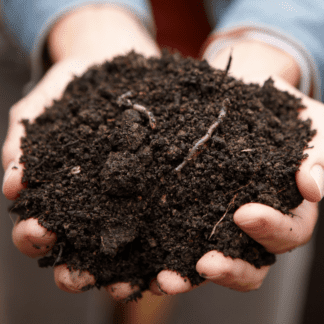 Fruition's Organic Compost