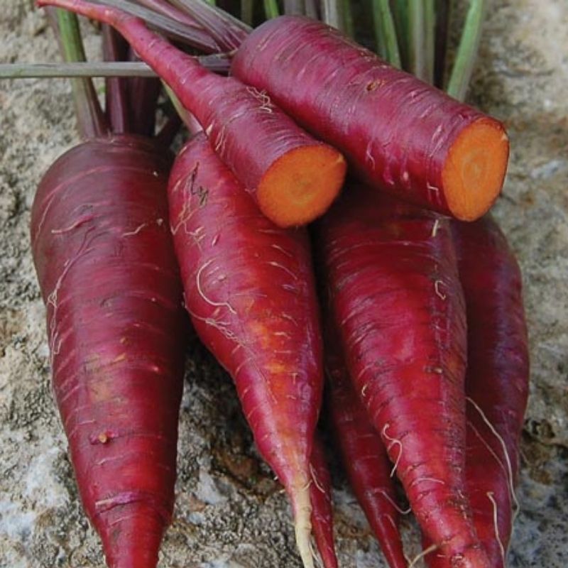 Seeds+Vegetable+Carrot+Red+Giant.+Large+Organic+From+