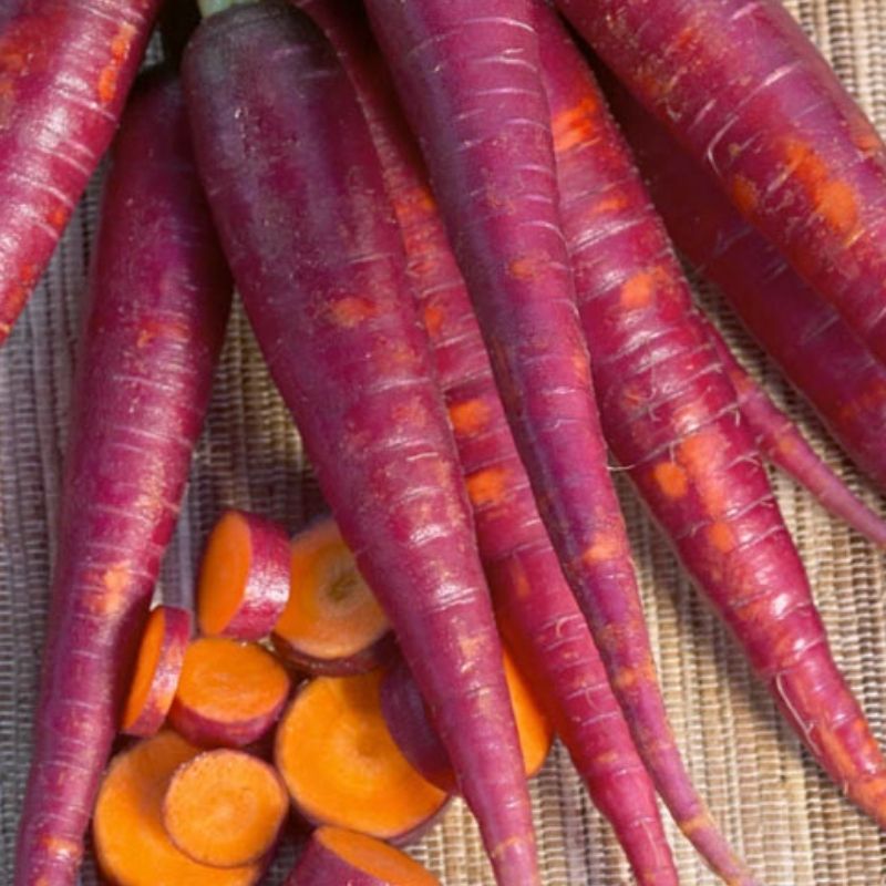 Details about   purple carrot Carrot  50 seeds 