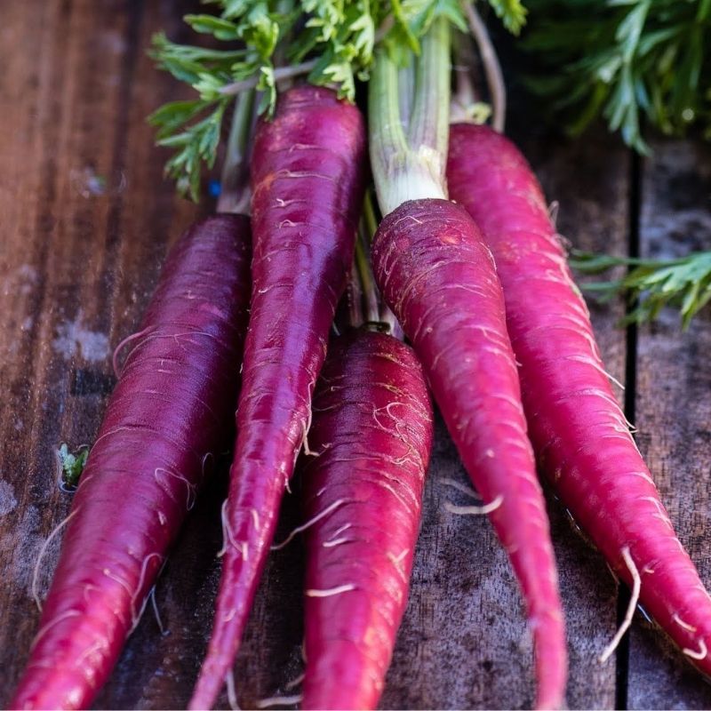 purple carrots