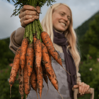 Organic Dulcinea Carrot 800 x 800