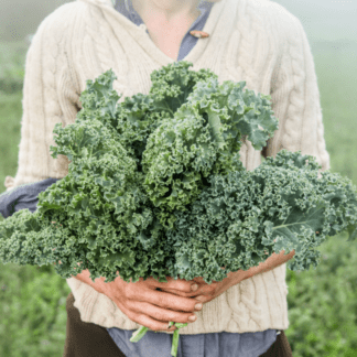 Organic Dwarf Blue Vates Kale