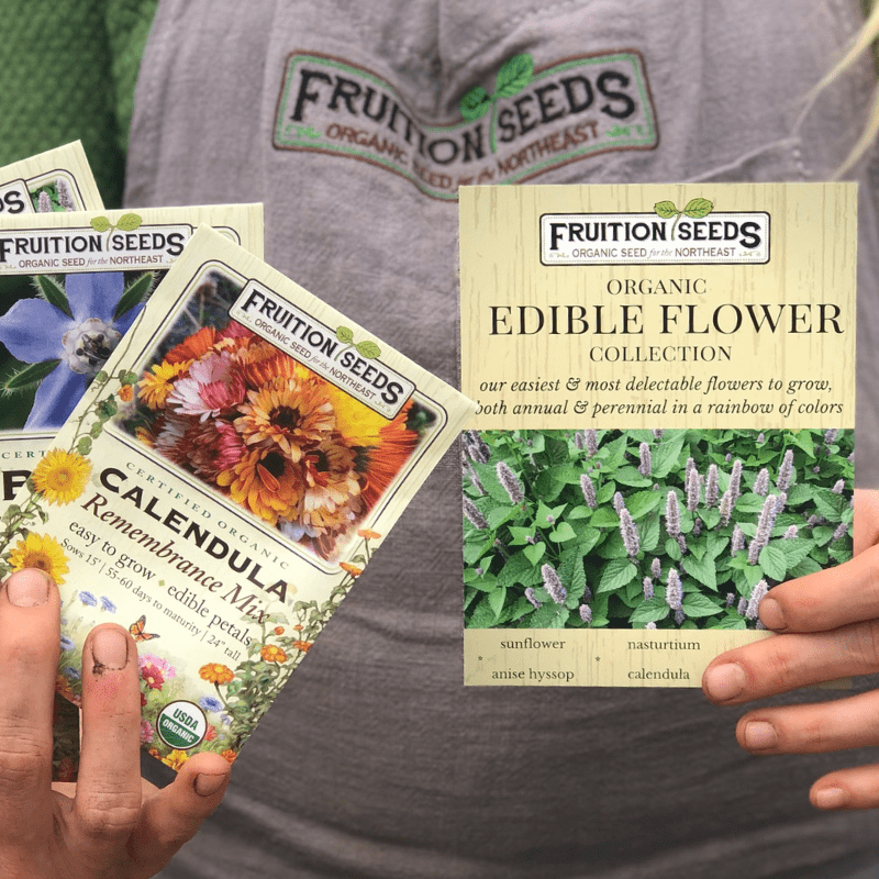 Organic Edible Flower Collection - Fruition Seeds