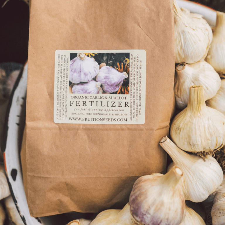 Elephant Garlic Fruition Seeds