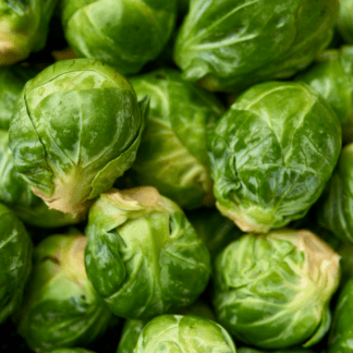 Organic Sativa Brussel Sprout