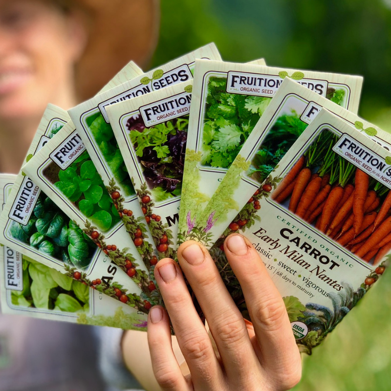 Organic Heirloom Carrot