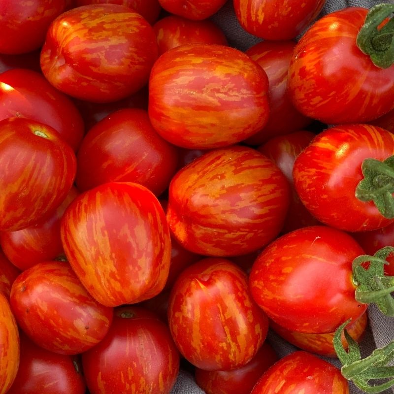 Organic Heirloom Cherry Ember Tomato 2 1