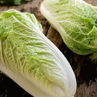 Organic Sativa Chinese | Napa Cabbage