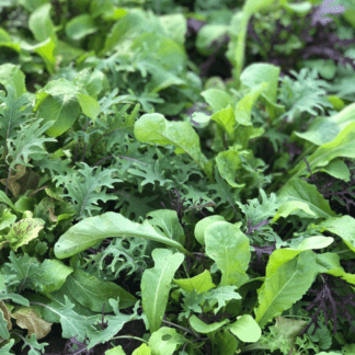 Organic Deluxe Mesclun Mix