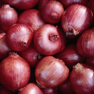 Organic Rossa di Milano Onion