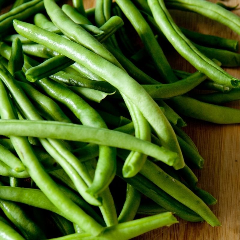 Organic Jade Green Bean - Fruition Seeds