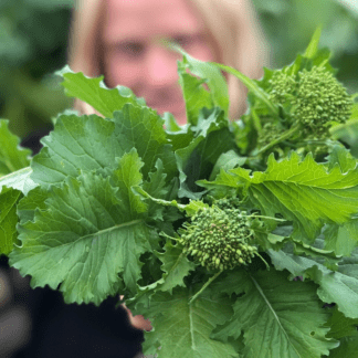 Organic Spring Raab | Rapini